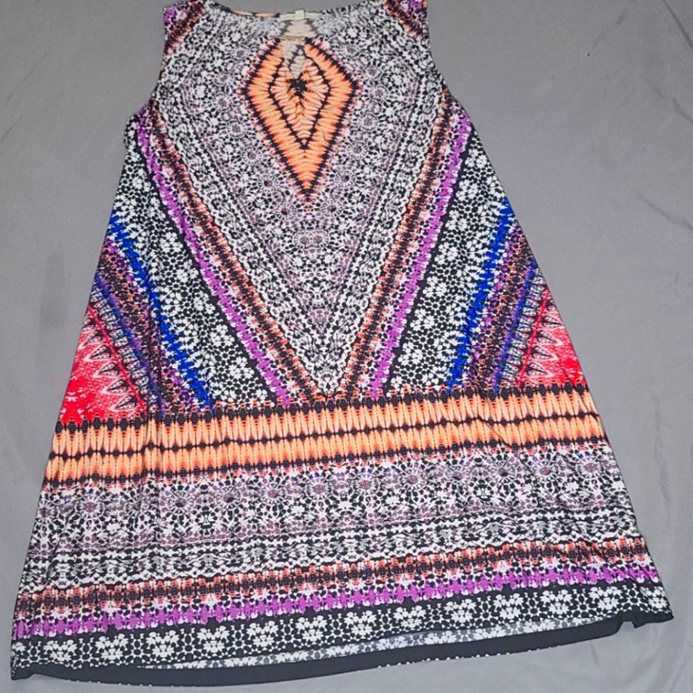 Gorgeous Woman's 2x Dress
